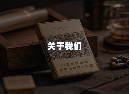 专业团队